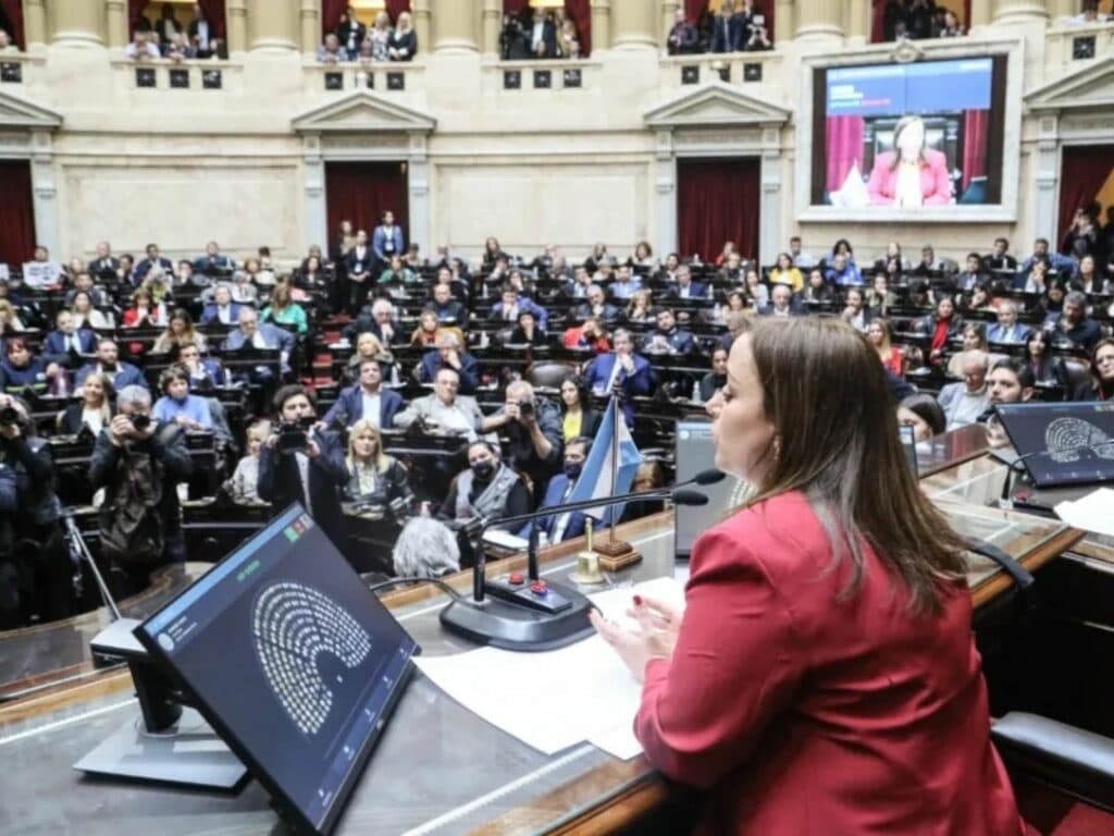 Ley Johanna: De qué trata el proyecto por la atención frente a la muerte perinatal