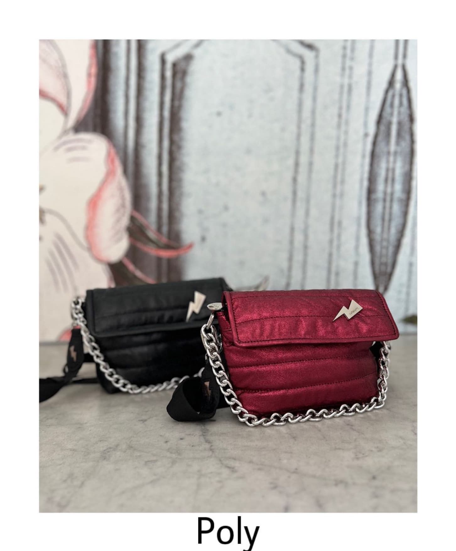 Mariposas en la Guata & Cuatroestaciones