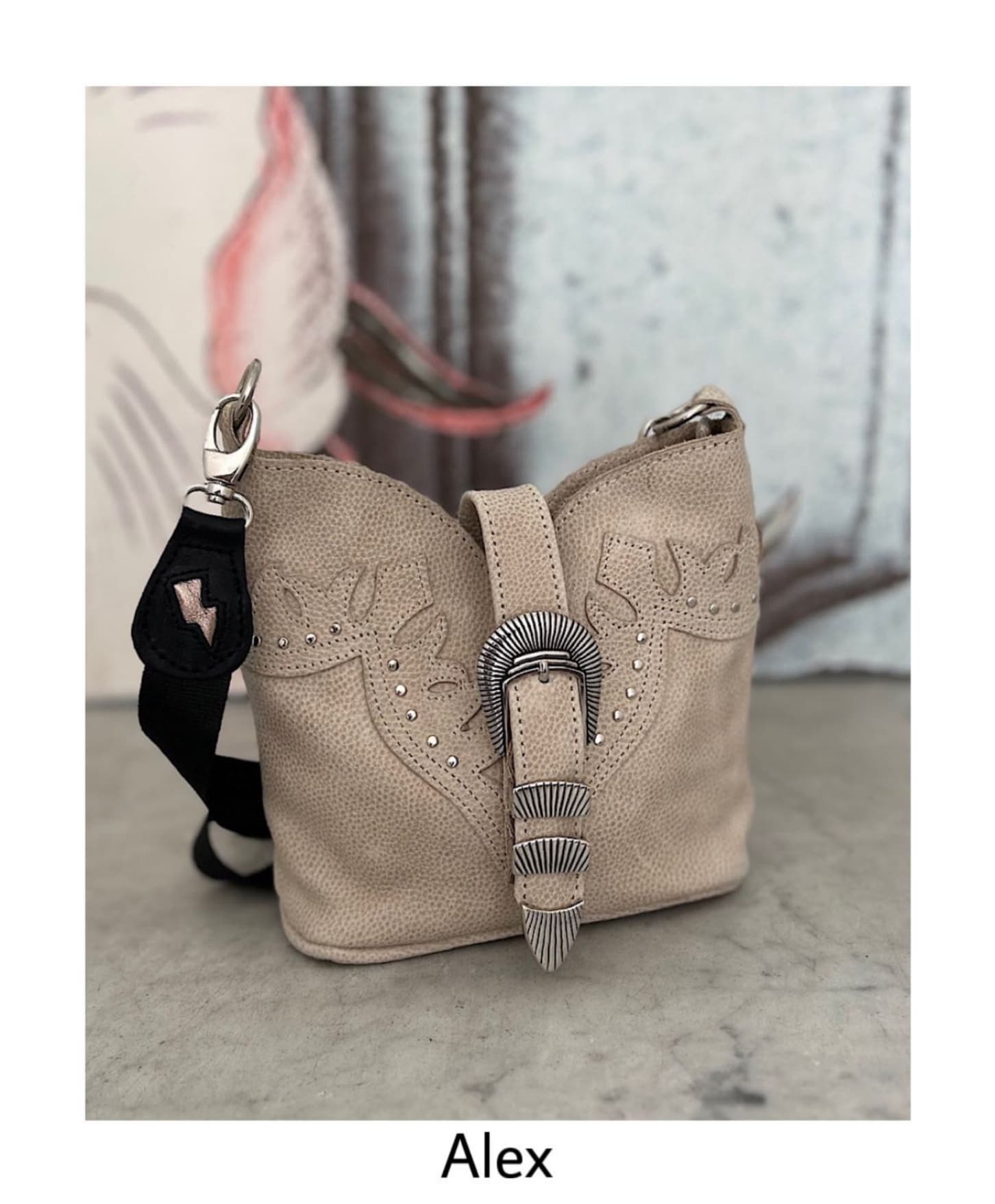 Mariposas en la Guata & Cuatroestaciones