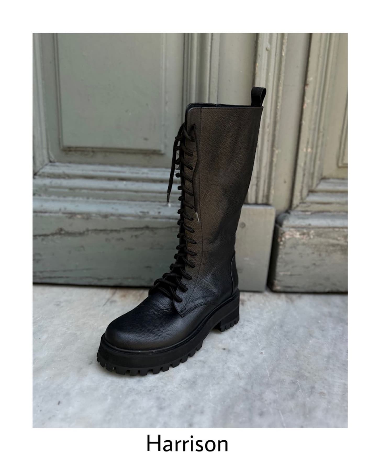 Mariposas en la Guata & Cuatroestaciones