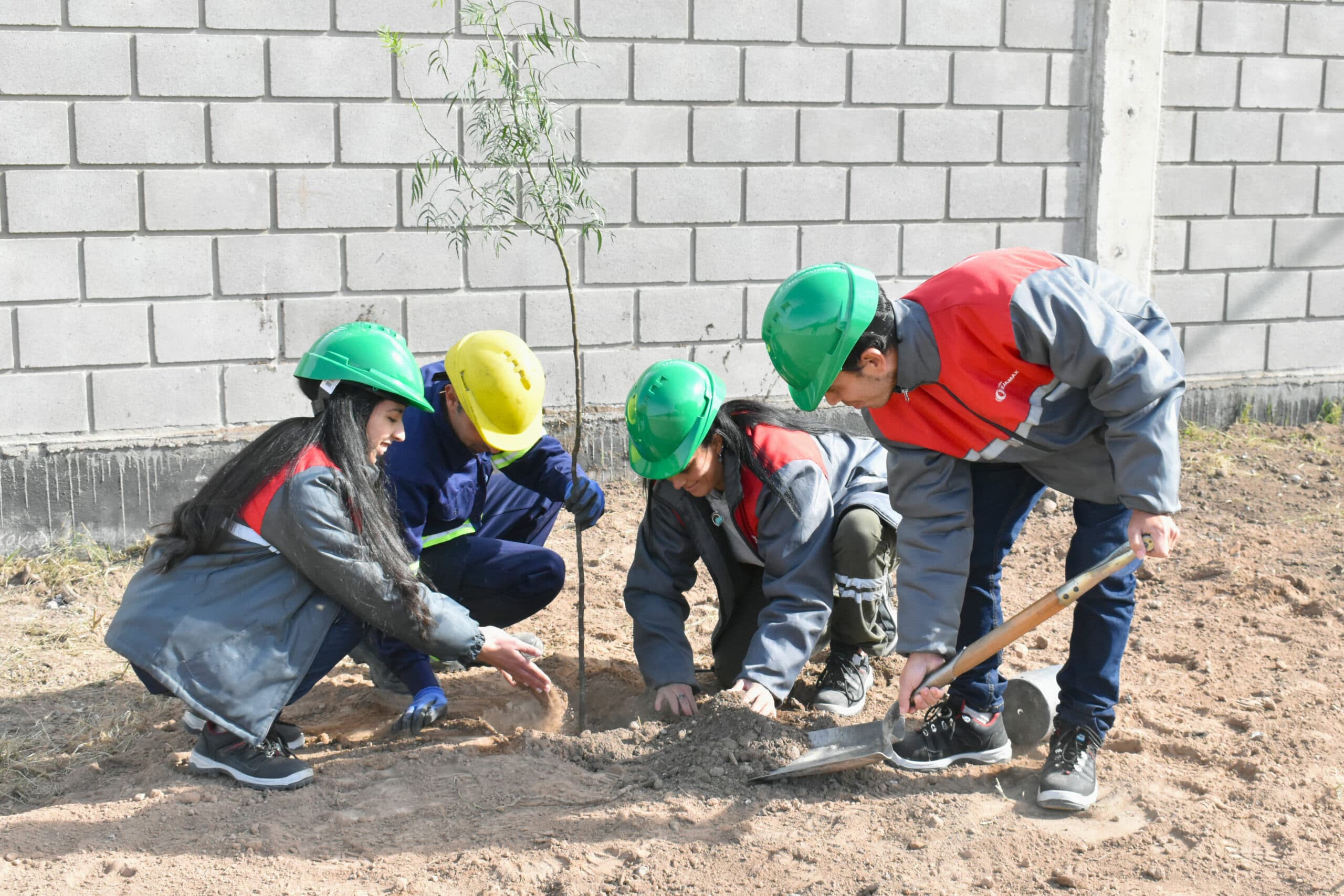 Hacia un futuro sostenible: Grupo Tejamax reafirma su compromiso ambiental con la plantación de árboles autóctonos