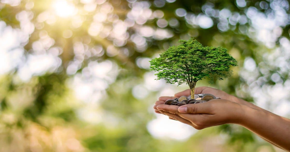 En el Día del Ambiente, 5 cambios para la cotidianeidad que hacen la diferencia