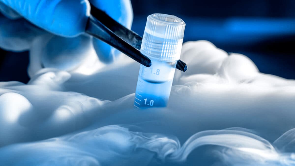 5 mitos sobre la criopreservación de óvulos