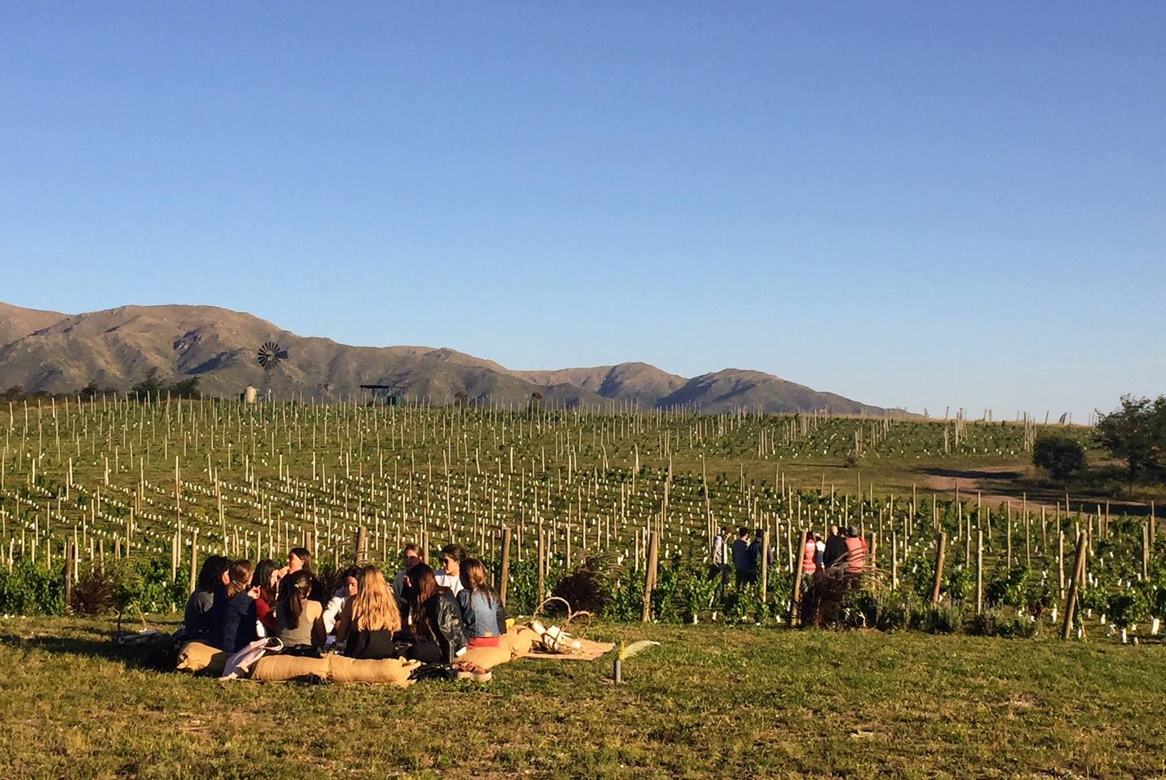 Viñedo Nébula se prepara para el Festival de gracias:  una celebración de agradecimiento al universo