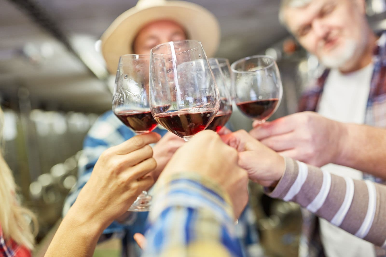 Se aproxima la Vendimia en Mendoza: Cómo vivirlo en un entorno de confort, lujo y tranquilidad