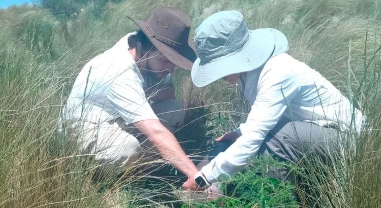 Científicos de UNC-Conicet revelan el impacto humano en la biodiversidad vegetal a nivel global