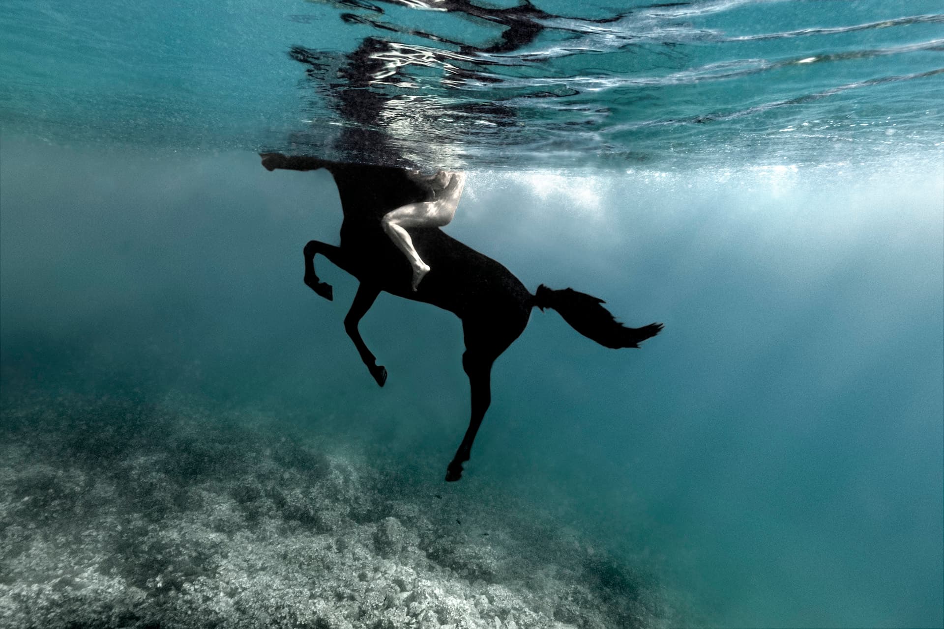 Últimos días para visitar “Agua”, la muestra de Isabel Muñoz que invita a reconectar con la naturaleza