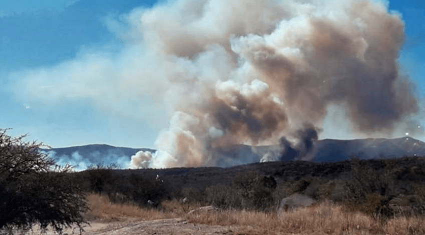INCENDIOS EN CÓRDOBA, TE CONTAMOS COMO AYUDAR