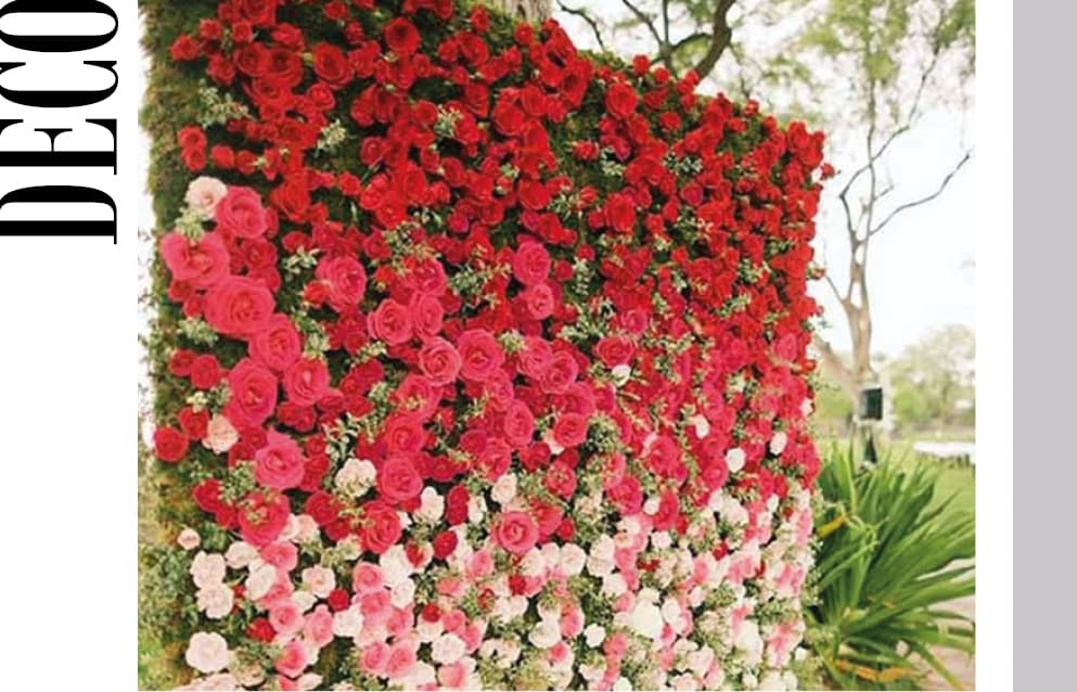 Jardines Infinitos, paisajes que perduran