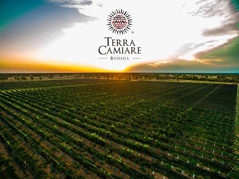 Terra Camiare, excelencia en vinos y enoturismo