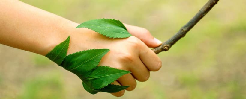 #ECOTIPS – Para que te comprometas con el medioambiente