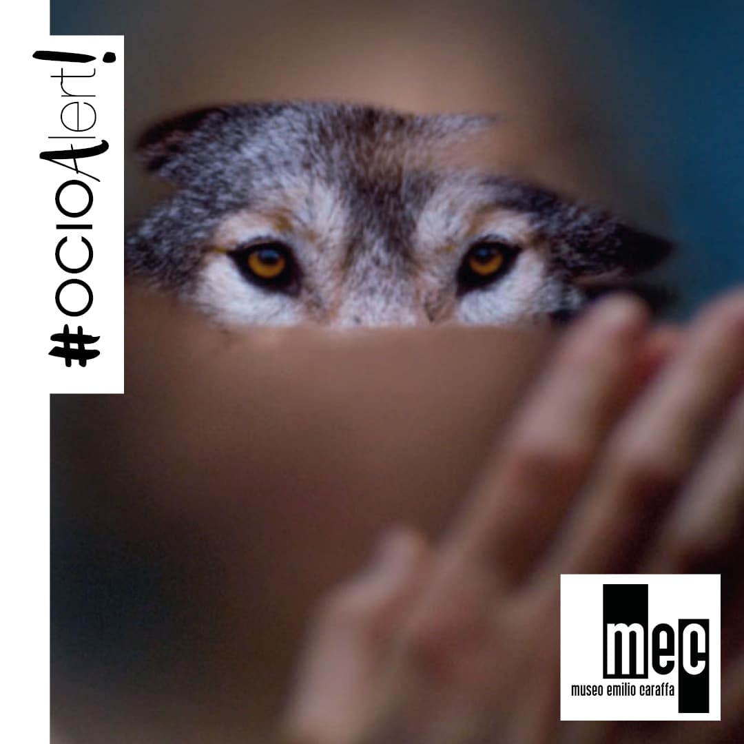 #OCIOALERT – #SéptimoEnElCaraffa proyectará “Wild”