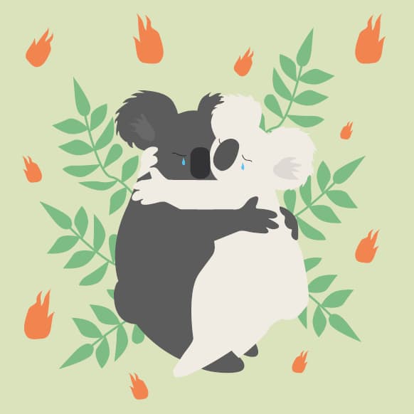 #OCIOACTUALIDAD – Incendios en Australia