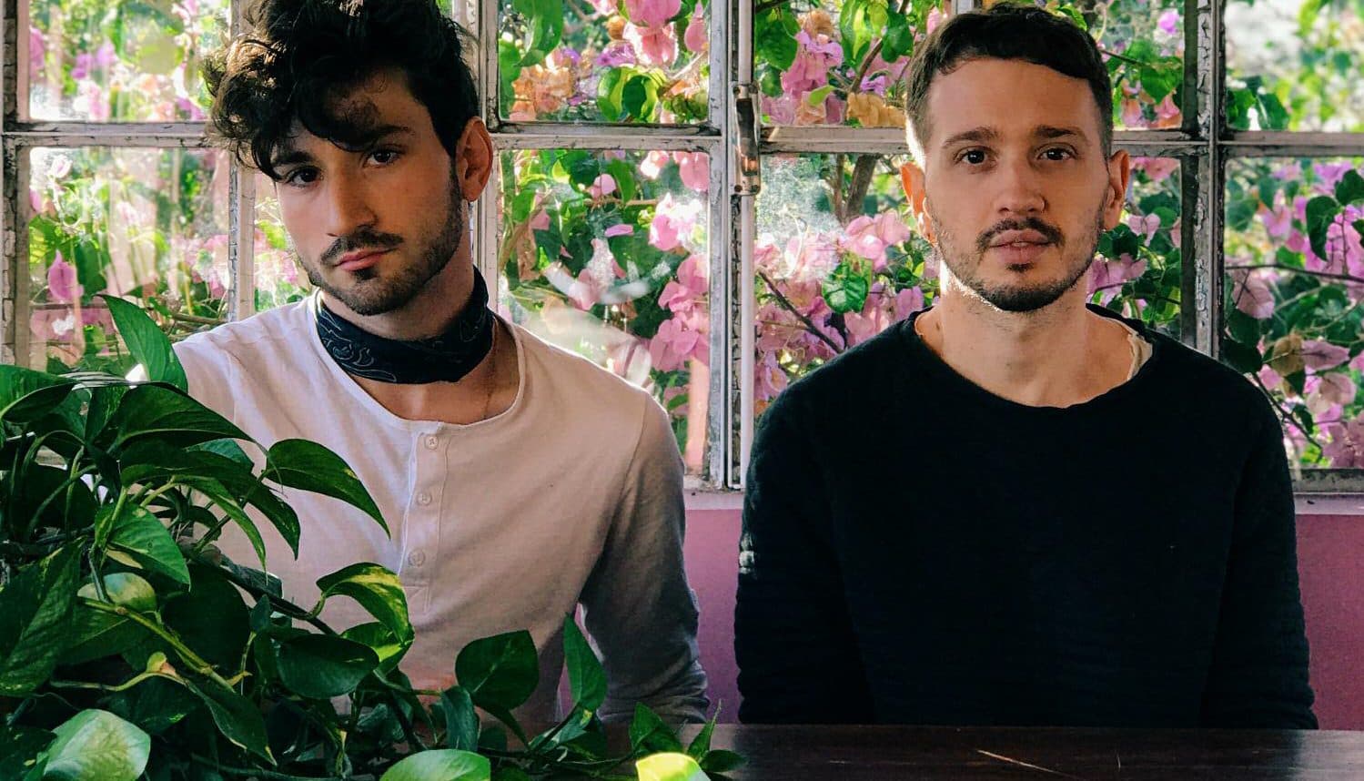 PLANTAS IDEALES PARA DECORAR TUS INTERIORES JUNTO A @HABITANICA