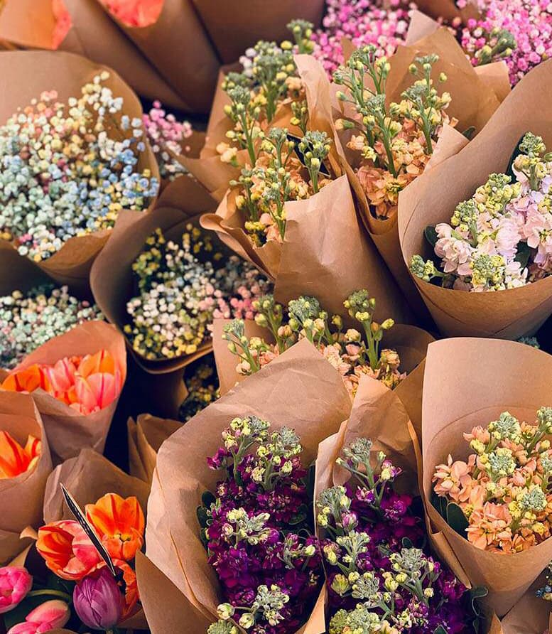 ASTROLOGÍA ¿Qué colores usar de acuerdo a tu signo?