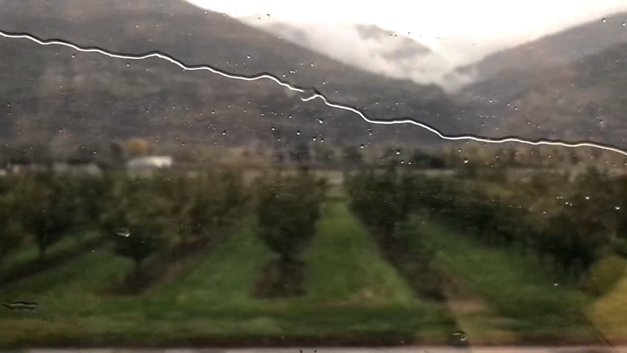 Parpadea – Agenda | Arte | Cultura