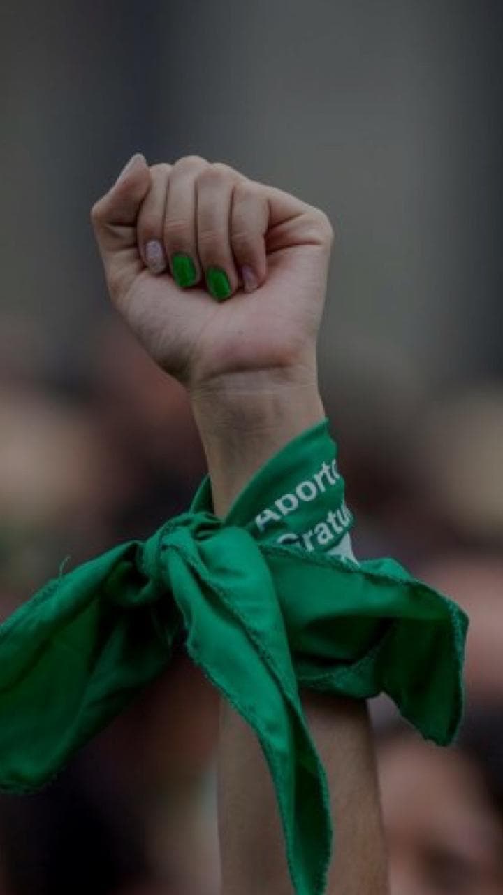 Los puntos clave del proyecto de ley por el aborto legal