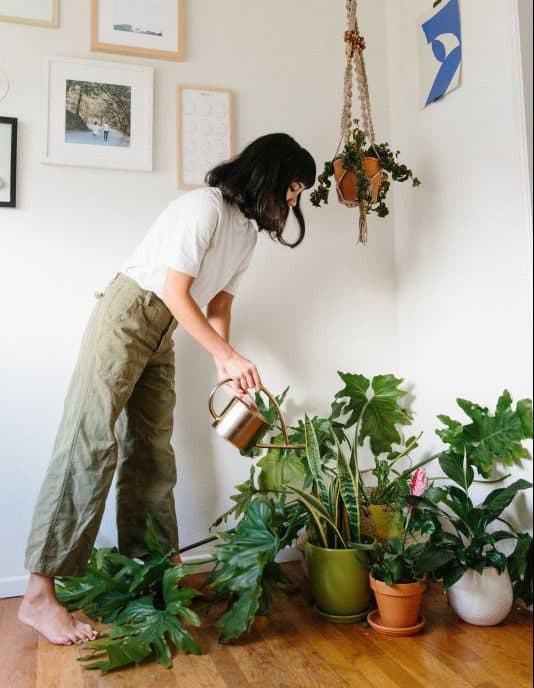 Como pueden ayudarte las plantas a mejorar tu estado de animo